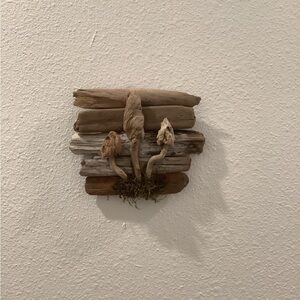 Driftwood Art Driftwood Mushroom Art, Driftwood Coastal Decor